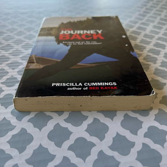 The Journey Back by Priscilla Cummings Paperback Book Pre-Loved - Picture 7 of 7